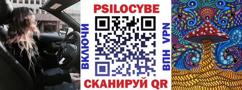 как найти наркотики  Торопец  Галлюциногенные грибы мухоморы 